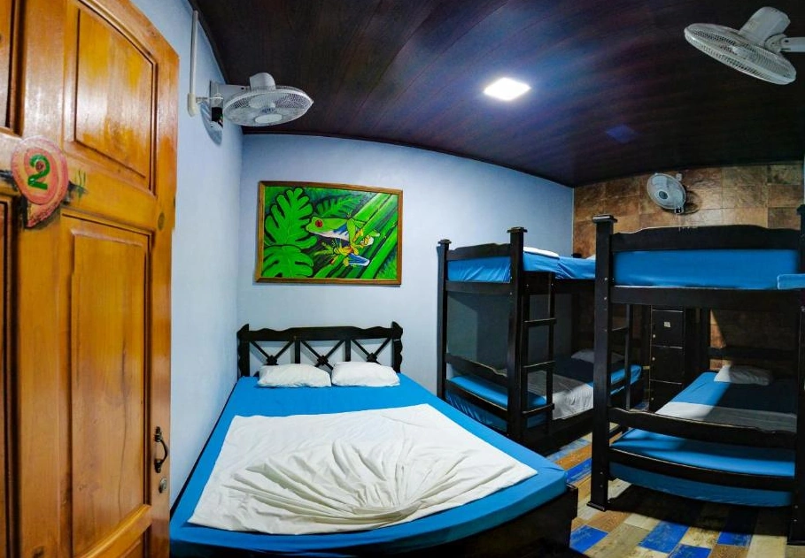 Hostel Tortuguero 7BackPackers 🇨🇷 Hotel review - WanderBeard